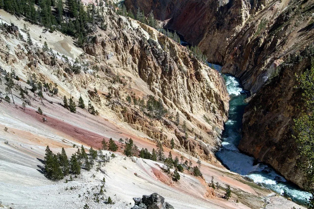 Why Choose Yellowstone for a Family Trip