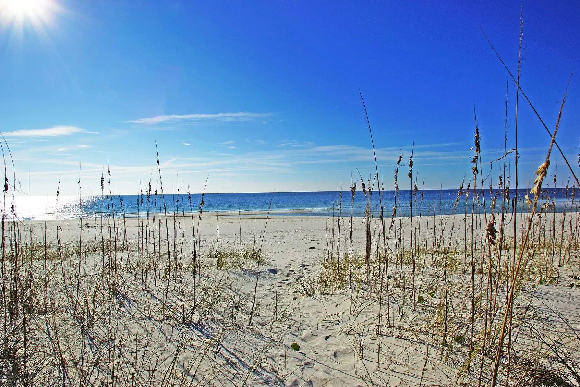  Gulf Shores Alabama