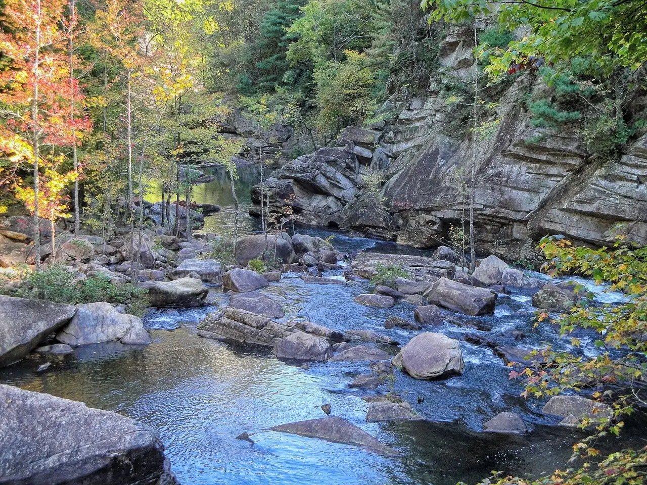 The North Georgia Mountains: 14 Reasons Why You Should Visit