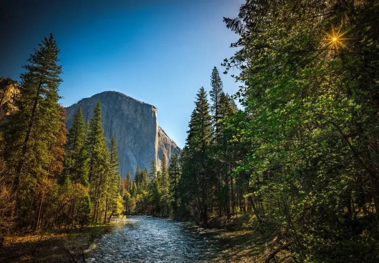 What Are 6 Facts About Yosemite National Park